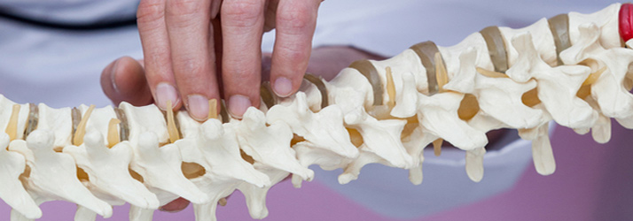 What Are The Educational Requirements For A Chiropractor?